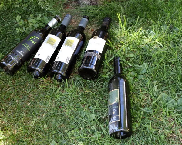 Les Lacs de Derborence (2016)