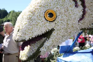 Grundlseer Seesaibling Narzissenfest 2017