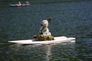 Narzissenfest 2017. Korso auf dem Grundlsee
